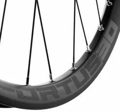 HOPE Roue Arrière Fortus 30 Pro 4 Disc 6 Trous 29" Sram XD Boost 10 HOPE Roue Arrière Fortus 30 Pro 4 Disc 6 Trous 29" Sram XD Boost -Cube Parts Soldes Hope Fortus 30 Pro 4 cDqgXbiSooDqb5