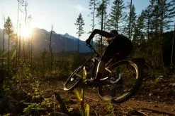 Shimano DEORE BR-M6120 Post-Mount D03S Étrier De Frein 12 Shimano DEORE BR-M6120 Post-Mount D03S Étrier De Frein -Cube Parts Soldes SLorencePhoto Deore 00241Gn7YCbfiCRK